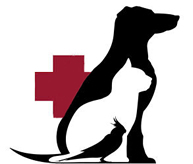 vet